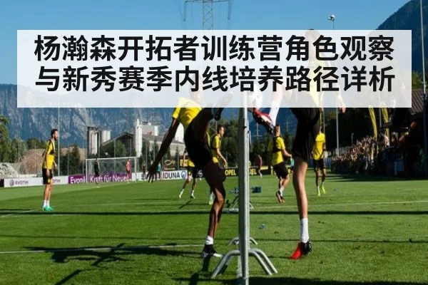 杨瀚森开拓者训练营角色观察与新秀赛季内线培养路径详析